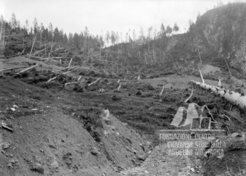 Alberi a terra lungo la strada militare Casera de La Grava-Spiz Zuel. 1917.