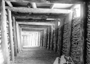 La galleria blindata del Col Baion. 1915.