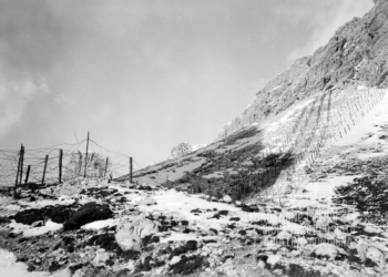 Reticolari stesi a Forcella Grande (m 2255) sotto Torre Sabbioni e Cima Bel Prà. 1917.