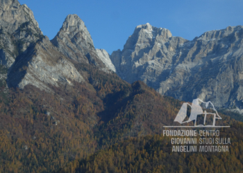 Stato dei boschi dopo la tempesta Vaia nella zona del Framont.