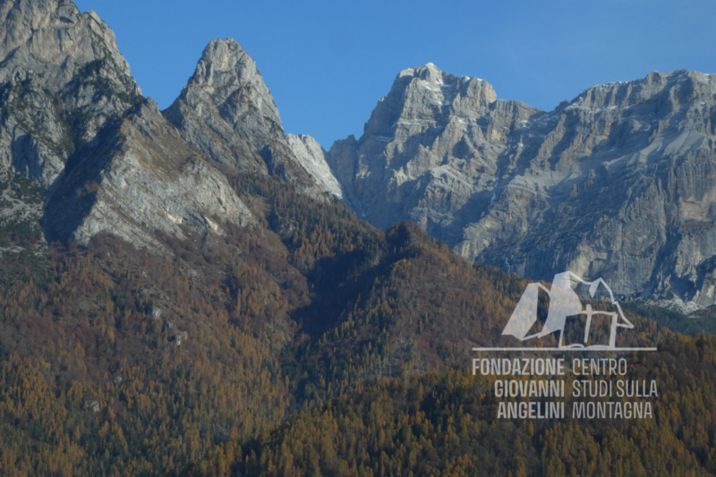 Stato dei boschi dopo la tempesta Vaia nella zona del Framont.