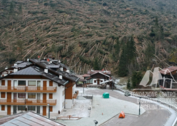 Danni provocati dalla tempesta Vaia a Bosco Verde, Rocca Pietore