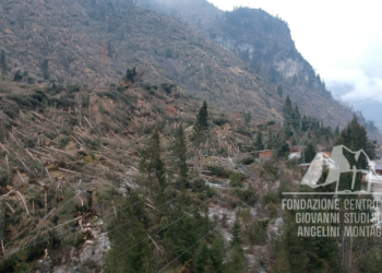 Danni provocati dalla tempesta Vaia a Bosco Verde e Col di Rocca