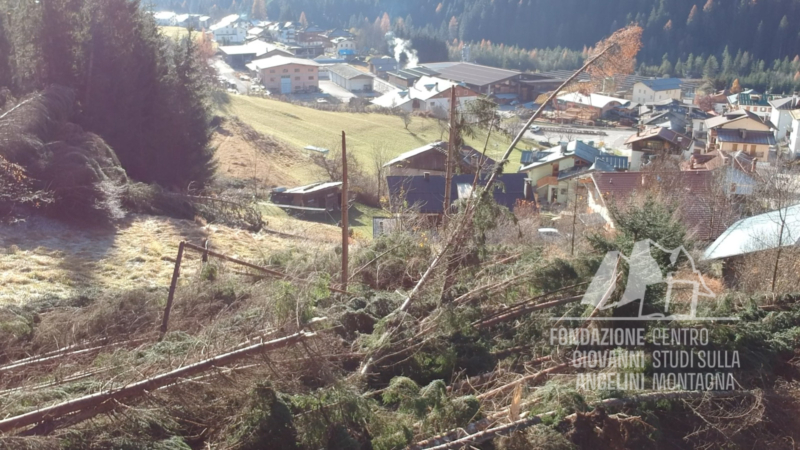 Danni provocati dalla tempesta Vaia a Reane, Auronzo.