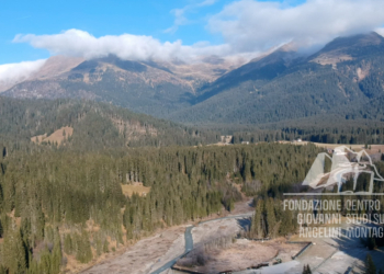 Danni provocati dalla tempesta Vaia in Val Visdende, sullo sfondo le Creste di Confine.