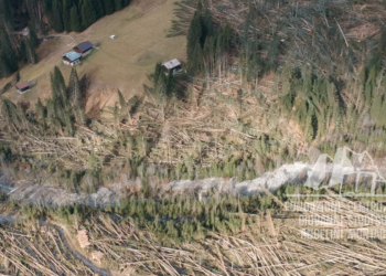 Danni provocati dalla tempesta Vaia in Val Visdende.
