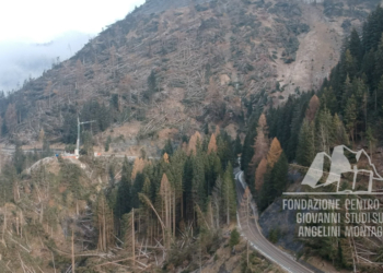 Danni provocati dalla tempesta Vaia nella zona di Caprile.
