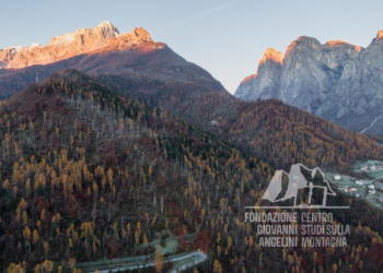 Danni provocati dalla tempesta Vaia nella zona di Campedel, sullo sfondo l'Agner e le Pale di San Lucano.