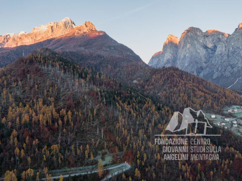 Danni provocati dalla tempesta Vaia nella zona di Campedel, sullo sfondo l'Agner e le Pale di San Lucano.