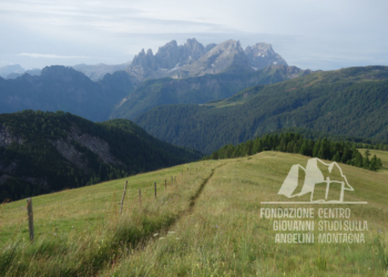 La Val del Biois e la zona del Focobon dopo la tempesta Vaia, sullo sfondo le Pale di San Martino.