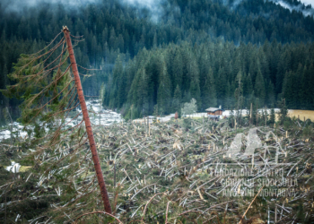 Danni provocati dalla tempesta Vaia in Val Visdende.
