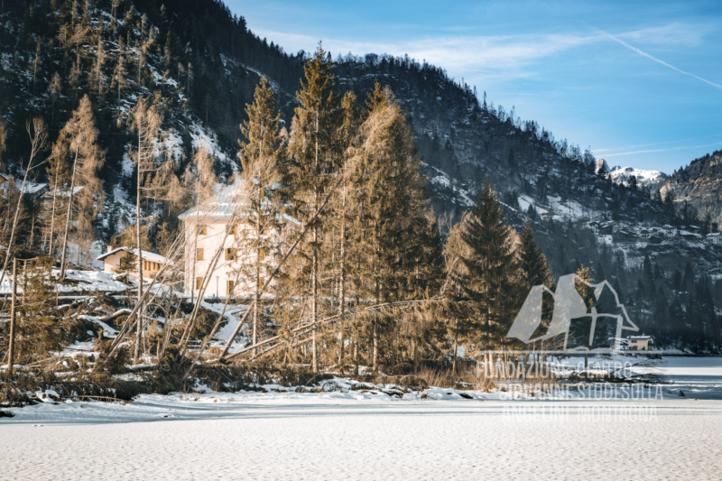 Danni provocati dalla tempesta Vaia presso i Lago di Alleghe, con il lago ghiacciato.