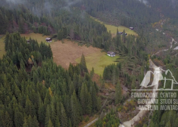Danni provocati dalla tempesta Vaia in Val Visdende.