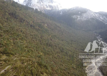 Danni provocati dalla tempesta Vaia in Val Visdende, alle pendici del Col di Varda e del Col di caneva, sullo sfondo il Peralba.