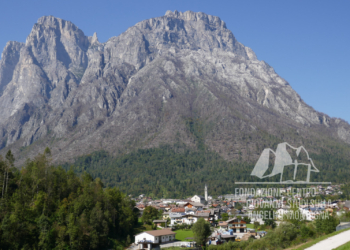 Danni provocati dalla tempesta Vaia e da incendio a Taibon, sullo sfondo le Pale di San Lucano.