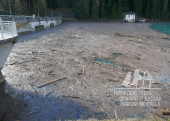 Danni provocati dalla tempesta Vaia presso la diga di Santa Caterina ad Auronzo.