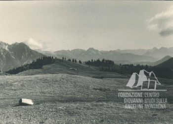 Il Pian dei Buoi, il Col Vidal e sullo sfodo le Creste di Confine dal Pian dei Buoi. Anni '60.