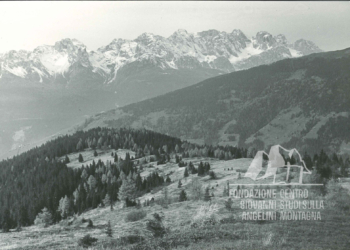 I pascoli del Comelico e il Popera sullo sfondo. Anni '60.