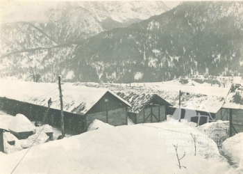 Autoparco militare nei pressi della stazione di Calalzo. 1917.